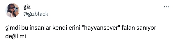 Hayvanseverler tarafından oldukça tepkiyle yaklaşılan video, kısa sürede gündeme bomba gibi düştü.