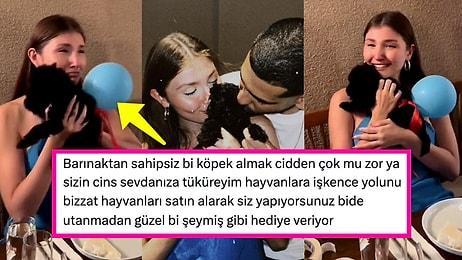 Sosyal Medya Fenomeni İlayda Akdoğan'a Doğum Gününde Kurdele Bağlanmış Köpek Hediye Edilmesi Tepki Çekti!