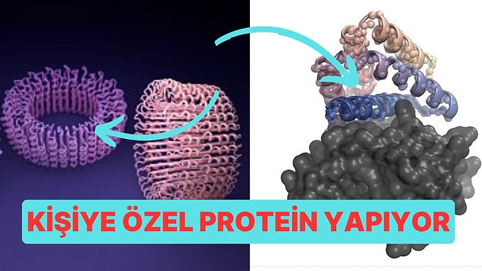 Bilim Dünyasında Büyük Bir Adım: Kişiye Özel İlaçlar Tasarlamak Artık Mümkün