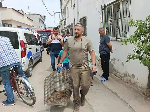 Maymunun yakalandığı evin sahibi Basri Güleç, "Ben bir gün önce işe giderken, Doğa Koruma ve Milli Parklar Müdürlüğü ekipleri sokakta dolanıyorlardı. Komşuların evlerine baktılar. Benim de akşam haberim oldu. Ailem eve çıkıp baktıklarında gördüler. Oğlum video attı bana. Evde herhangi bir zarar yok da mutfak dolaplarını batırmış hep. Zararlı mıdır, hastalıklı mıdır? İlaçlanması gerekiyor. İçeride görünce korkmadım. Hayvanseverim ben. Evde meyve de verdik" dedi.