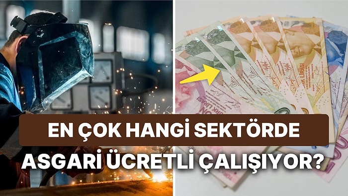 Merkez Bankası Raporunda Asgari Ücretliler: Hangi Sektörde ne Kadar Asgari Ücretli Çalışıyor?