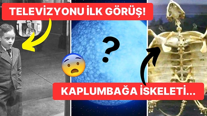 Tarihten Günümüze Hayatı Sorgulamanıza Sebep Olmaya Aday Birbirinden İlginç 17 Görsel