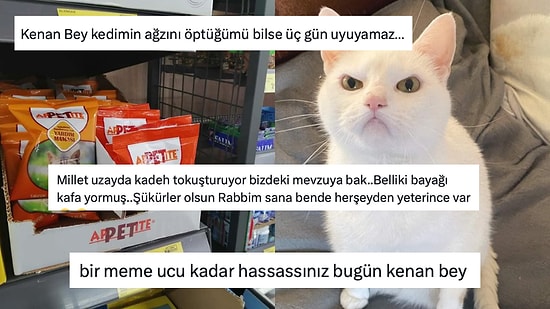 Derdini Sevelim: Kedi Köpek Mamasına Neden "Yal" Denilmiyor Diye Dertlenen Kişiye Gelen Yorumlar