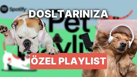 Spotify'da Evcil Hayvanınıza Özel Çalma Listesi Oluşturabileceğinizi Biliyor muydunuz?