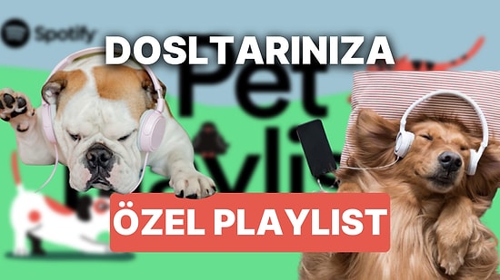 Spotify'da Evcil Hayvanınıza Özel Çalma Listesi Oluşturabileceğinizi Biliyor muydunuz?