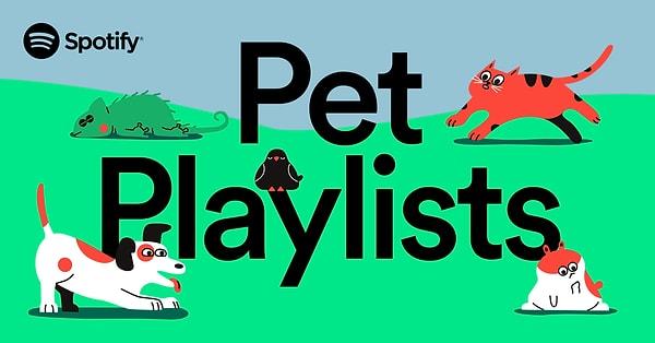 Bunlardan bir tanesi de pek çoğunuzun bilmediği "Spotify for Pets" hizmeti!