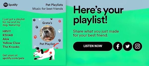 Spotify for Pets: Spotify Evcil Hayvan Playlist Oluşturma Linki
