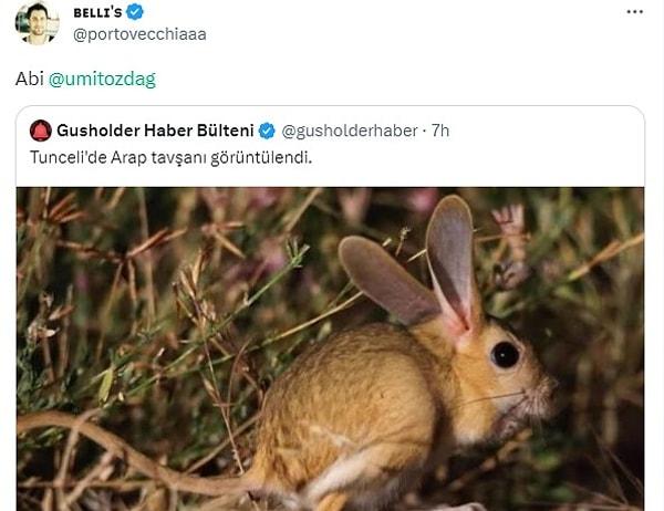 Özdağ, şimdi ise komik bir etkileşimle gündeme geldi: Tunceli'de Arap tavşanı görülmesi haberi üzerine bir kullanıcı Özdağ'ı etiketledi.