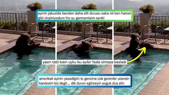 Aşırı Sıcaklardan Bunalıp Bir Evin Jakuzisinde Serinlemeyi Seçen Ayı Kardeş Güldürdü!