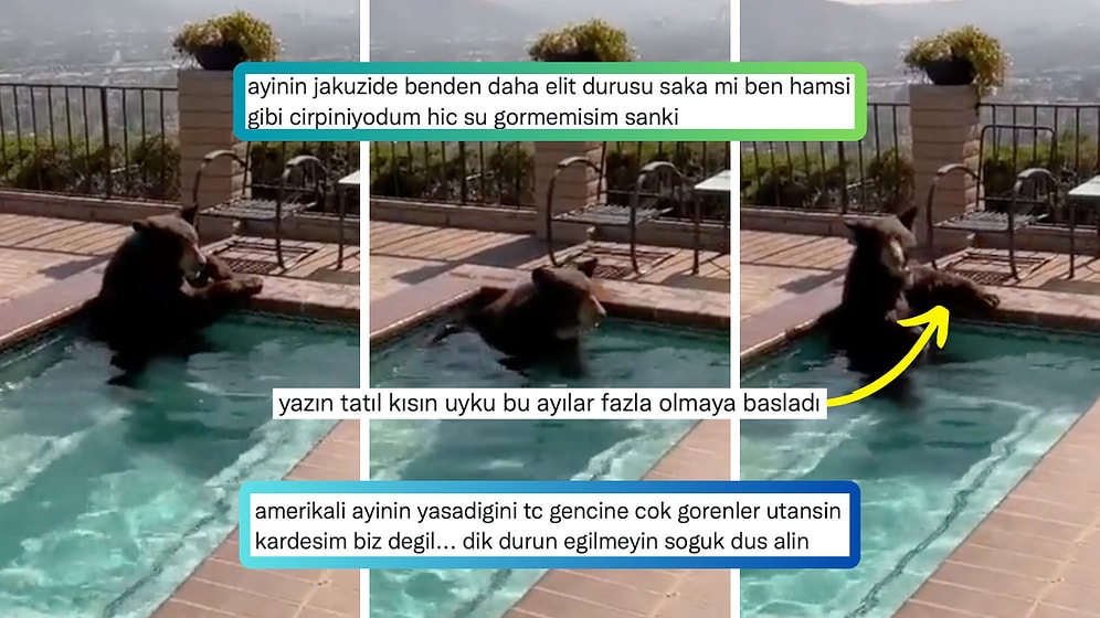 Aşırı Sıcaklardan Bunalıp Bir Evin Jakuzisinde Serinlemeyi Seçen Ayı Kardeş Güldürdü!