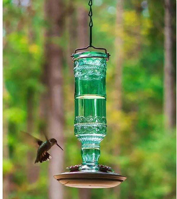 7. Kuşların cıvıltısı ve cam yeşil dekoratif kuş yemliğinin estetik görüntüsü, günlük yaşamın stresinden uzaklaşmanızı sağlayacak.