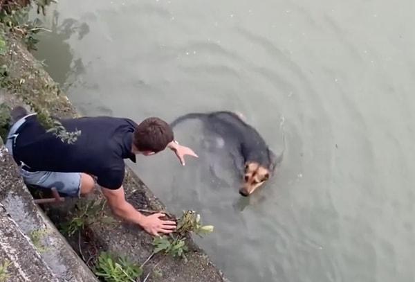 Bir su kanalına düşen köpeği oradan geçen iki genç fark etti.