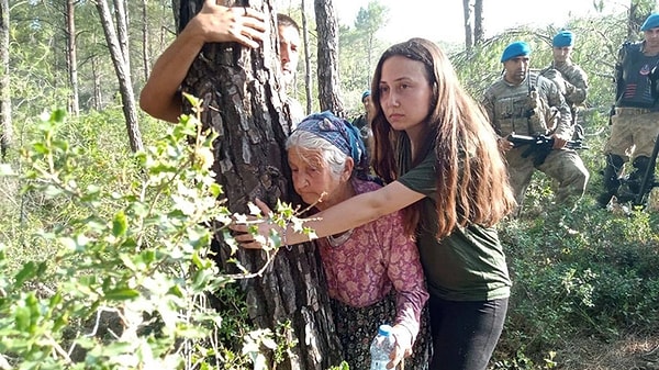 Dava süreci devam ederken 24 Temmuz sabah saatlerinde bölgeye jandarma ekipleri sevk edildi ve ağaç kıyımı başladı.