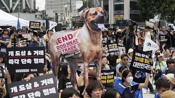 Ancak köpek çiftçileri derneğine göre, son yıllarda köpek etine talep azaldı. 2022'de yapılan bir ankete göre, Güney Korelilerin yüzde 87,5'i köpek eti yemiyor ve yüzde 56'sı yasaklanmasını destekliyor.