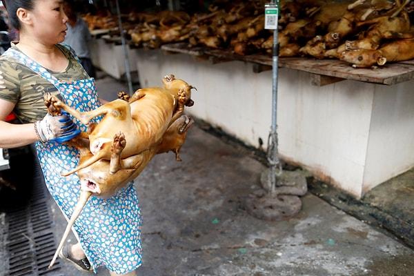 Üstelik Asya'daki kadar olmasa da, köpek eti dünya çapında Gana, Nijerya, Kuzey Hindistan ve listedeki tek Avrupa ülkesi olan İsviçre'nin bazı kırsal bölgelerinde de tüketiliyor.