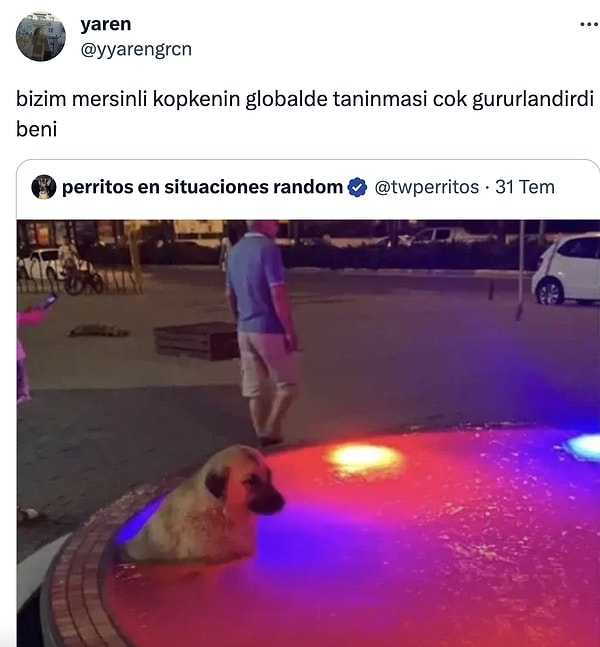 Mizah ihraç ediyoruz.