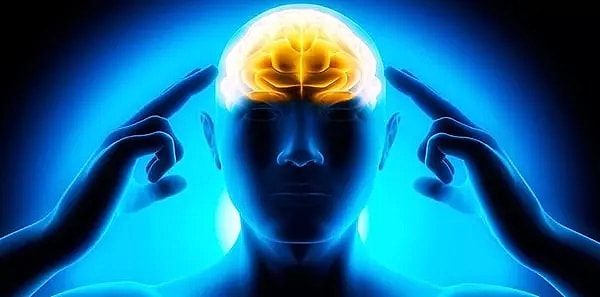Zihin yükleme fikri, beyindeki sinir hücreleri ve bağlantılarının detaylı bir şekilde anlaşılmasını gerektirir.
