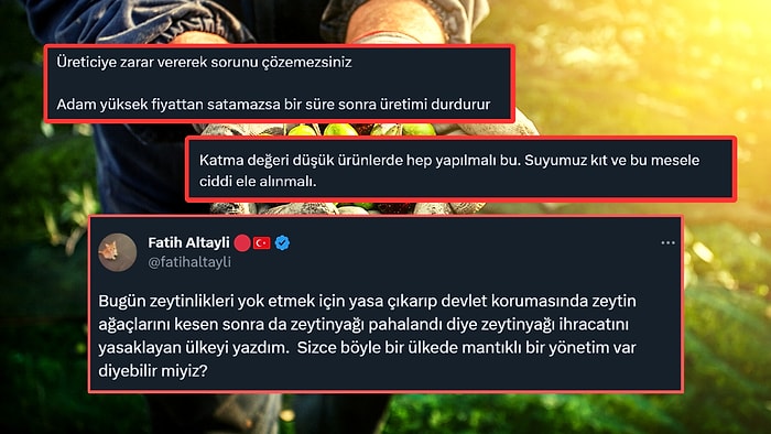 Zeytinyağı İhracatına Yasak Geldi: Zeytinlikler Fatih Altaylı'nın Radarına Girdi