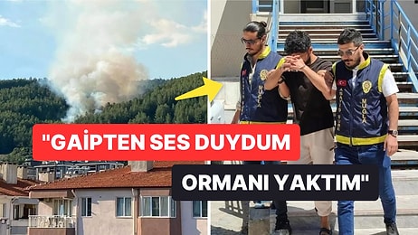 Menteşe'de Yangın Çıkaran Şahsın İfadesi Ortaya Çıktı: ''Muğla'da Büyü Var'' Dedi!