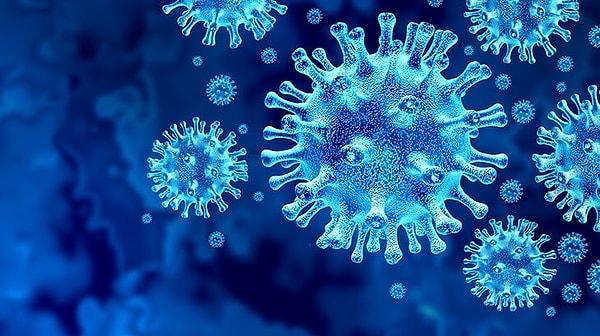 İlk olarak Çin'in Wuhan kentinde bir yarasadan insana bulaştığı iddia edilen Kovid-19 virüsü insanlık tarihinin gördüğü en büyük salgınlardan birisine yol açtı.