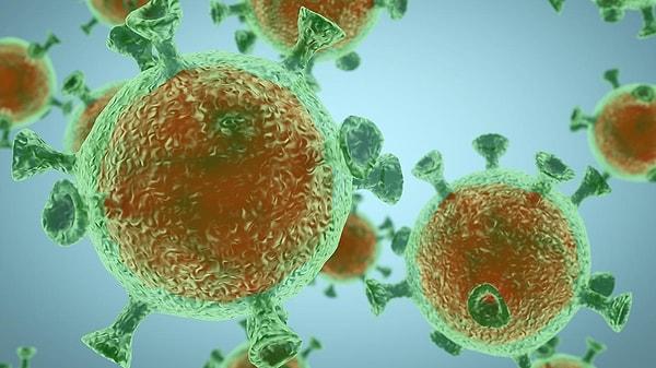 Kaliforniya'daki bir depoda kurulan yasadışı laboratuvarda koronavirüs kapıp yaymak için tasarlanan bine yakın fare olduğu tespit edildi.