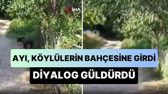 Bolu'da Bahçelerine Ayı Giren Köylülerin Gündem Olan Anları: 'Valla Gitmiyor Oturdu'