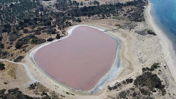 Yılın sadece belli dönemleri pembe rengini alan ve sosyal medyada yayılan fotoğraflar nedeniyle popüler hale gelen göl, ziyaretçilerin uğrak noktası oluyor.