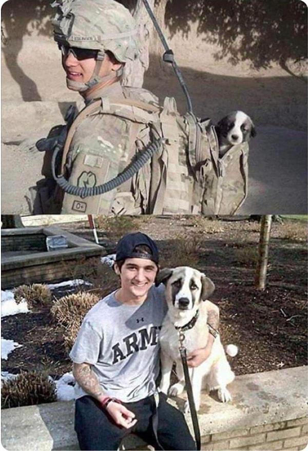 4. Görev sırasında bulduğu yavru köpeği bin bir zorlukla eve götürmeyi başaran bir Amerikan askeri! 🥰