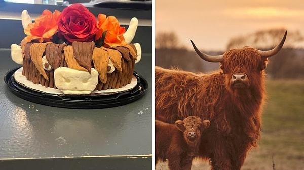 7. "Eşim doğum günüm için bana İskoç ineği şeklinde pasta yapmış!" 😅