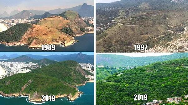 10. Brezilya'nın Rio de Janeiro şehrinde yıllar süren ağaçlandırma çalışmalarının mükemmel sonuçları...
