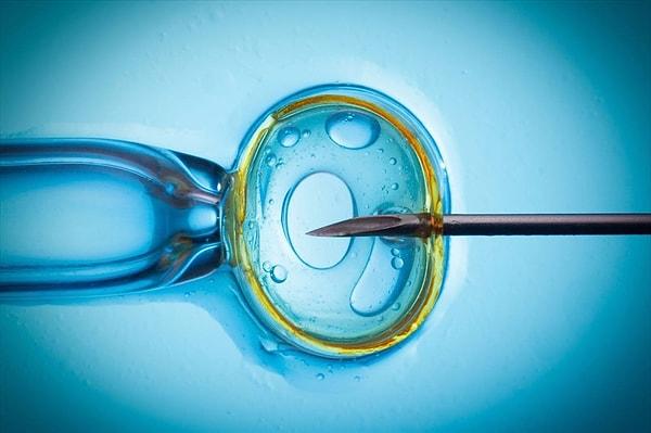 İki yöntemin de başlangıcı aynı olsa da laboratuvar koşullarında uygulanışı farklı. Tüp bebek uygulamasında anneden alınan yumurtaların yanına spermler konularak üreme gerçekleştiriliyor.