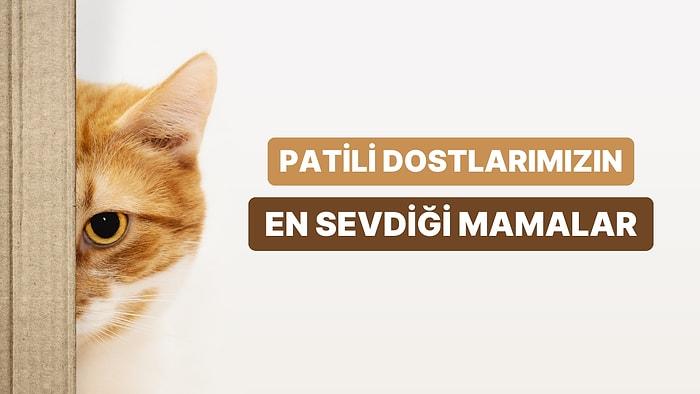 Patili Dostlarımızın En Temel İhtiyacı: Kedilerin Ayıla Bayıla Yediği En Sevilen Kedi Mamaları