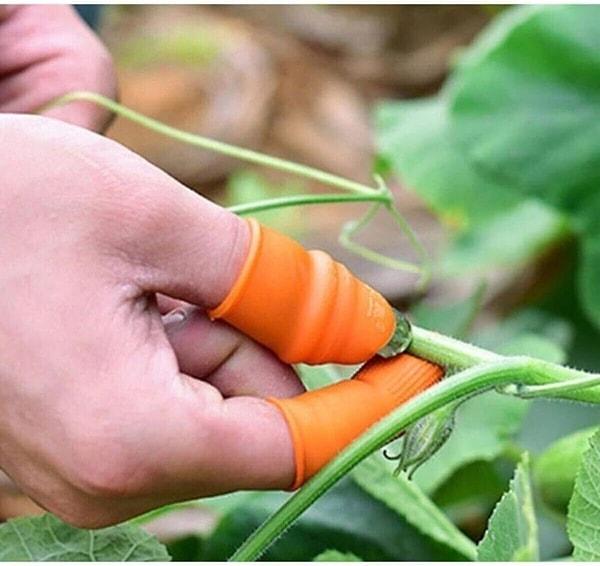 12. Baş parmak koruyucu soyucu ayıklayıcı kesme eldivenini ister bahçede, ister mutfakta sebze meyveleri soymak için kullanın.