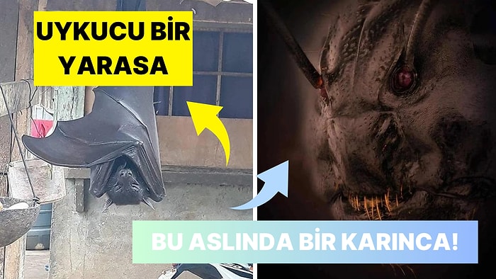 Doğanın Korkutucu Yüzünü İliklerinize Kadar Hissetmenize Sebep Olacak Birbirinden Ürkütücü 15 Yeni Fotoğraf