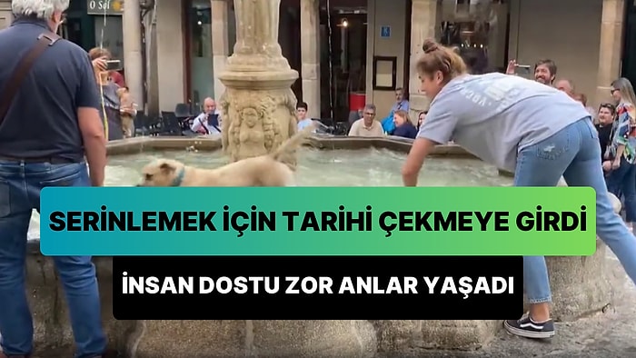 Sıcaktan Bunalınca Koşa Koşa Tarihi Çeşmeye Giren Köpek, İnsan Dostuna Zor Anlar Yaşattı