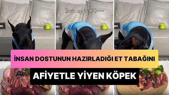 İnsan Dostunun Hazırladığı Et Tabağını Afiyetle Yiyen Köpeğin 'Hepimizden Daha İyi Besleniyor' Dedirten Anları