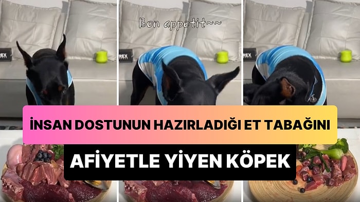 İnsan Dostunun Hazırladığı Et Tabağını Afiyetle Yiyen Köpeğin 'Hepimizden Daha İyi Besleniyor' Dedirten Anları