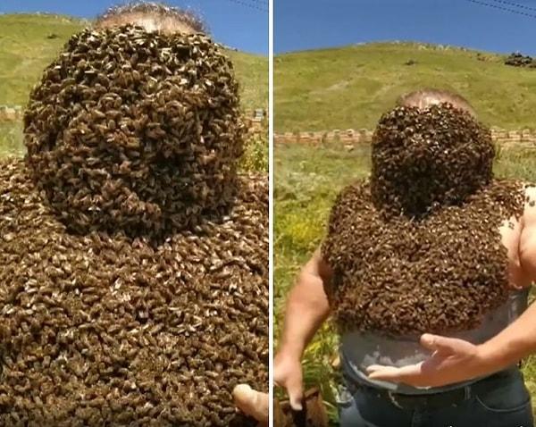Kafkas arısının özelliklerinden de bahseden Üzeyir o anlarda, “Kafkas arısı dünyanın 4 ırkından 1 tanesidir. Özelliği ise dilinin uzun olması, çiçeklerin derinliğinden balı almasıyla ortaya koyuyor. Kafkas arısı aynı zamanda çok uysaldır. Şu anda yaşadığım atmosfer inanılmazdır" dedi.