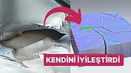 Bilim İnsanları Hayrete Düştü: Yaptıkları Deneyde Çatlamış Metal Kendini İyileştirdi