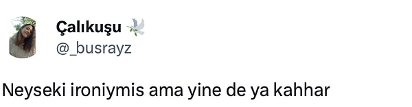 Bonus: Paylaşım sahibi tweetin ironi olduğunu, her beddua edene bekar olduğunu söylüyor. Ama bu linç yemesine engel değil tabi...