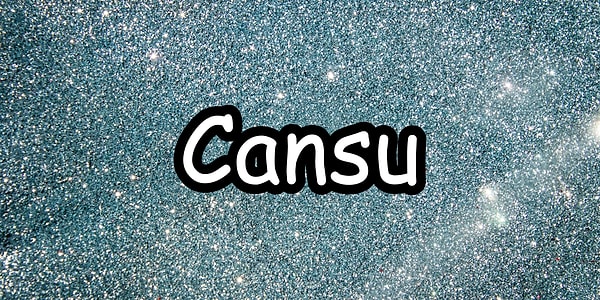 Senin aşkından deliren kişi Cansu!