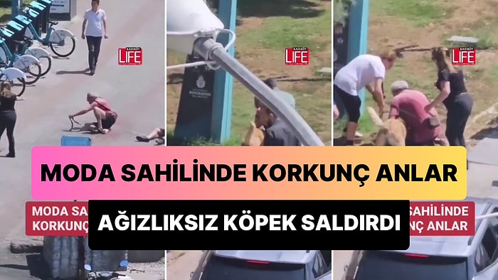 Ağızlıksız Gezdirilen Köpek, Yaşlı Çift ve Küçük Köpeklerine Saldırdığı Korkunç Anlar