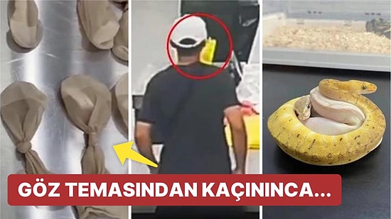 Kırmızı Listedeki Türler de Var! 14 Tane Yılanı Gümrükten Geçirmeye Çalışan Adam Yakalandı