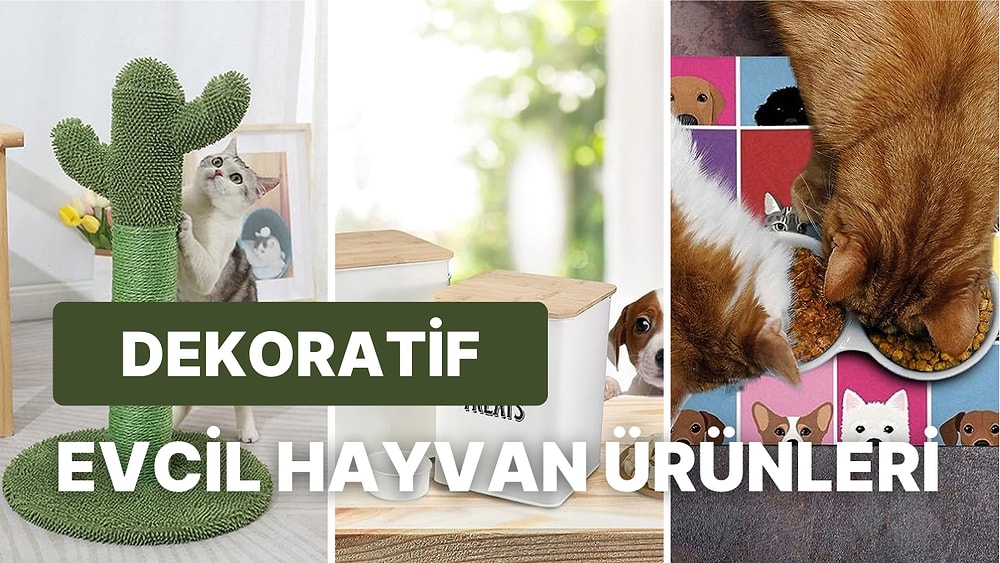 Ev Dekorasyonunuzla Mükemmel Uyum Sağlayacak 17 Evcil Hayvan Ürünü