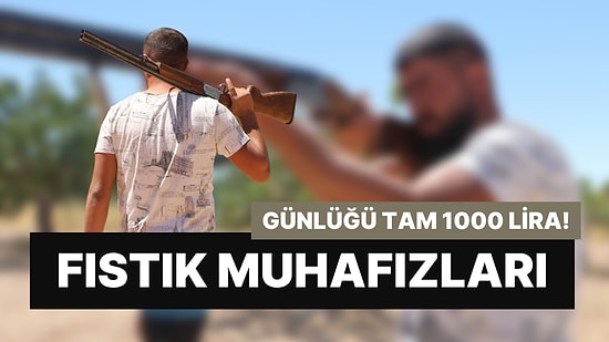 Meslekleri 'Fıstık Muhafızlığı': Kazançları Günlük 1000 Lira