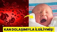 Esnememizin Altında Yatan Nedenler ve Bu Durumun Bulaşıcı Olmasını Tetikleyen Etkenler