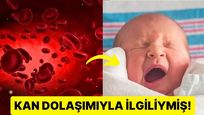 Esnememizin Altında Yatan Nedenler ve Bu Durumun Bulaşıcı Olmasını Tetikleyen Etkenler