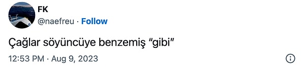 12. Siz Ahmet Kaya referansıyla yola çıkılıp diğer herkese benzeyen bu patayı kime veya neye benzettiniz?