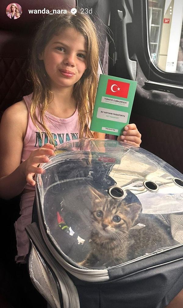 Kedilerine pasaport çıkartan aile, İstanbul hakkında da oldukça güzel yorumlarda bulundu.