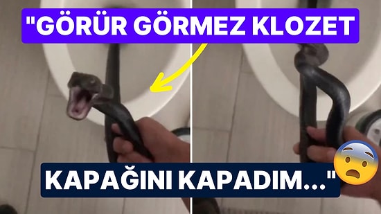 Kabusları Gerçek Oldu: Klozette Kocaman Bir Yılan ile Karşılaşan Kadının Korku Dolu Anları